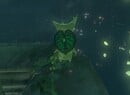 Zelda: Tears Of The Kingdom: Lanayru Korok Seeds