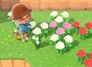 Animal Crossing: New Horizons: How To Get A 5-Star Island Rating And Grow Lily Of The Valley