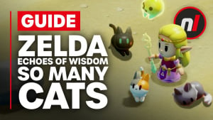 The Reason There's So Many Cats in Zelda: Echoes of Wisdom