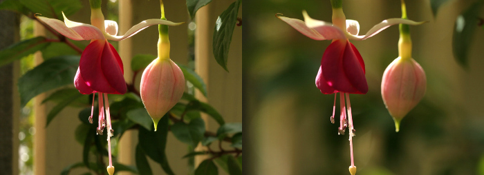 Side by side aperture depth of field example