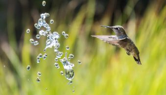 Shutter Speed in Photography: The Essential Guide (+ Cheat Sheet)