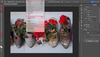 Photoshop Selection Tools: Your Essential Guide
