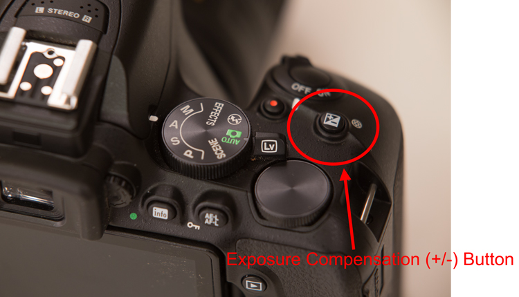 the plus/minus button on a camera