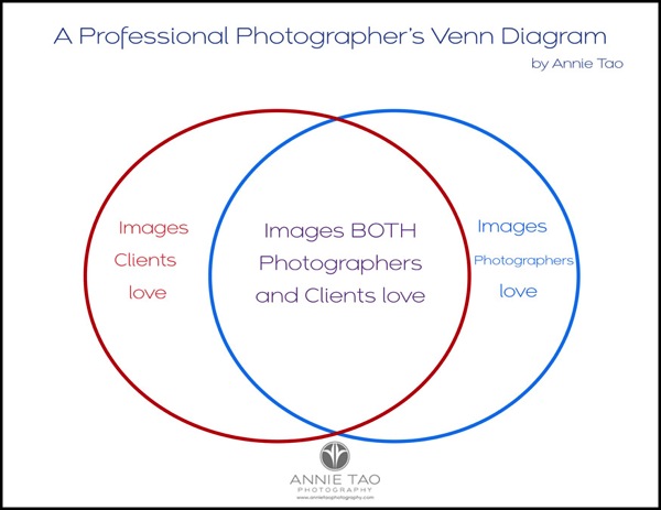 Professional Photographers Venn Diagram by Annie Ta bg