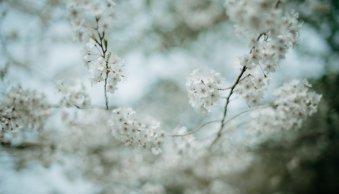 25 Breathtaking Shallow Depth of Field Examples