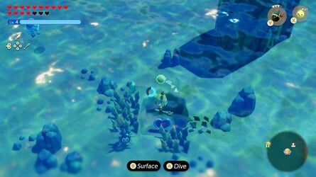 Underwater Zora Cove