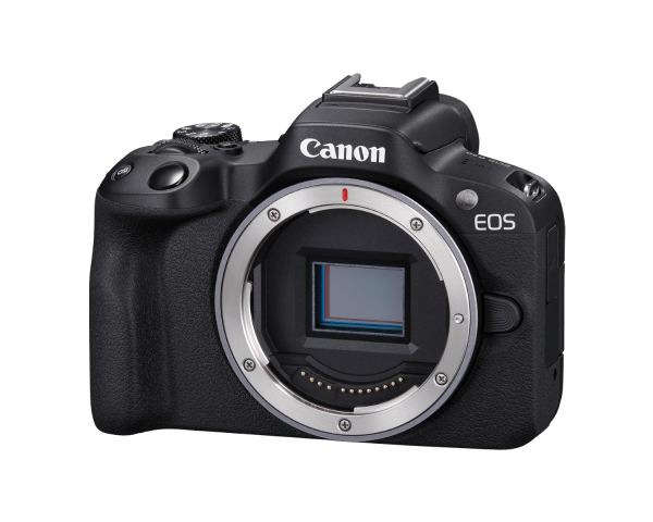 The best camera for portrait photography
